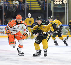 Image result for Sheffield Steelers