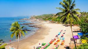 Image result for goa beaches