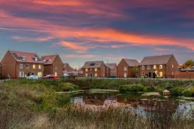 Image result for Lower Halstow Fc