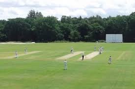 Image result for Valley End Cricket Club