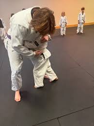 Image result for Hillsborough Judo Club