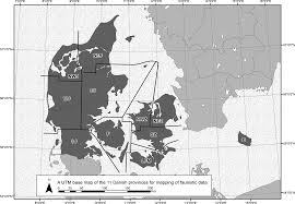 Attēlu rezultāti vaicājumam “Paramesus obtusifrons”