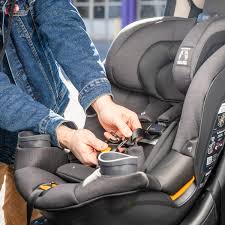 Znalezione obrazy dla zapytania chicco