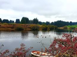 Image result for Walton On Thames Angling