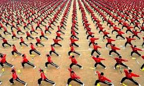 Image result for Shaolin Ancestors kung Fu School