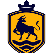 Image result for Henley Rugby Football Club