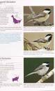 A New Field Guide to the Birds from The Smithsonian   Greg Ladens