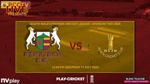 Image result for Pentyrch Cricket Club