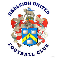 Image result for Hadleigh Cricket Club