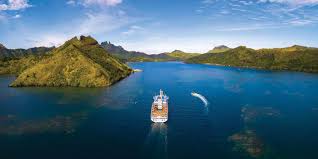 Attēlu rezultāti vaicājumam “Aranei exuvia”