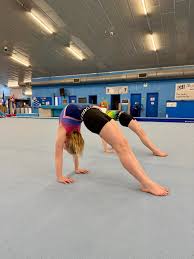 Image result for Rushmoor Amateur Gym Club