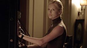 Image result for van vuuren theron