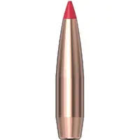 Image result for Barnsley Bullets