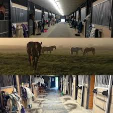 Image result for Lower Farm Stables