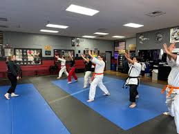 Image result for America's Best Karate
