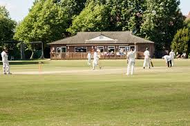 Image result for Downe Cricket Club