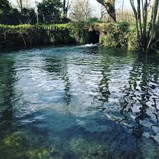 Image result for Weybridge Angling
