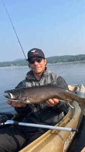 Image result for Salvelinus namaycush