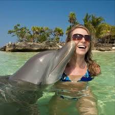 Image result for Dolphins Sheltered & Disabled Swim Club