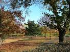 File:Bellvue Park, Wrexham - geograph.org.uk - 605752.jpg ...