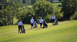 Image result for Wedmore Badminton Club