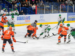 Image result for Telford Tigers