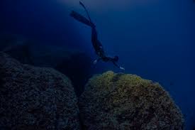 Image result for Notanx Freedive Club