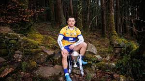 Image result for Clarehurlers