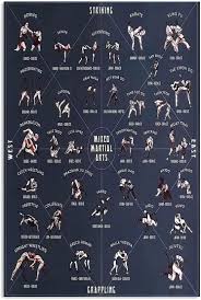 Image result for Full Element Mixed Martial Arts