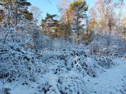 Image result for Ramblers Association - Mole Valley Group