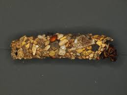 Attēlu rezultāti vaicājumam “Chaetopteryx villosa”