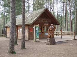 Image result for Go Ape! Moors Valley