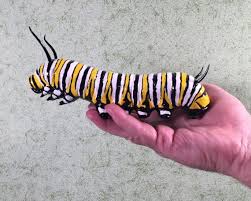Image result for monarch caterpillar