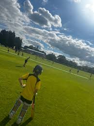 Image result for Yoxford Cricket Club