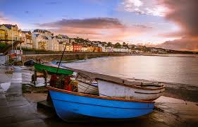 Image result for Dawlish Sc