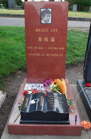 Image result for HAINAULT & CHIGWELL CHANGQUAN FLYING DRAGON