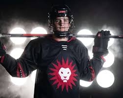 Image result for Adur Skater Hockey Club