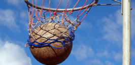 Image result for Didasko Netball Club