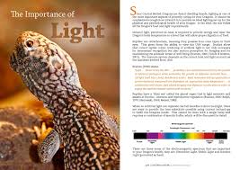 Image result for Central Weald Dragons