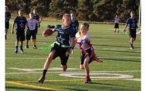 Image result for Kirkcaldy Bulls Flag football Club