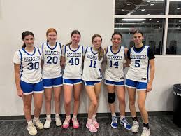 Image result for Elmbridge Girls Basketball Club