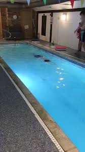 Image result for Wisbech Swimming Club