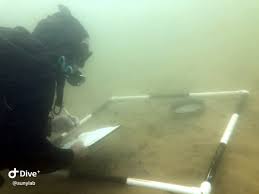 Image result for innerspace divers