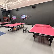Image result for Brook Table Tennis Club