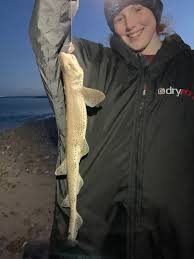 Image result for Bristol Channel Sea Fishing