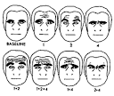 The Inner and Outer Meanings of Facial Expressions