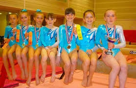 Image result for Redcar Gymnastics Club