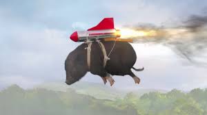 Image result for flying pigs