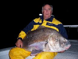 Image result for Pogonias cromis