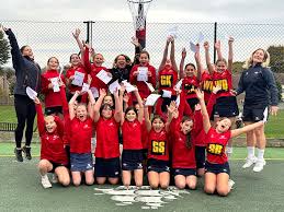 Image result for Winchester Netball Club
